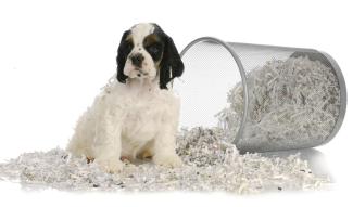 Document Shredding