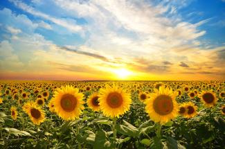 Summertime finance review
