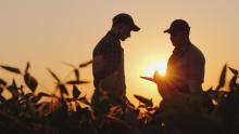 Using Retirement Savings During Coronavirus Panademic